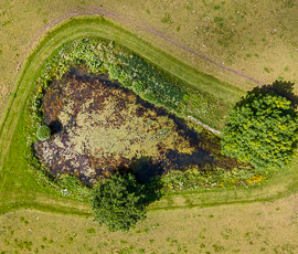 Burghasungener Berg Teich